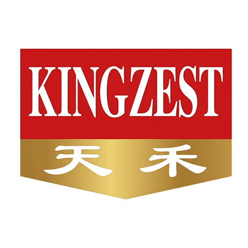 Kingzest Logo